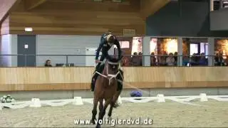 Anna Guenat (SUI) - CVI2 Female - 02 - CVI Ermelo 2016