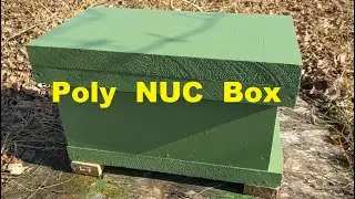 🔵 Poly NUC Box