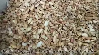 Sesame Seeds Roasting Machine|Peanut Roaster Machine For Sale
