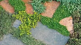 Gartenpflaster ideen