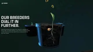 Pioneer &mdash; Corn Revolution (Desktop)