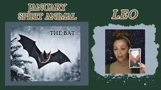 Night Time is the Right Time LEO ♌ January Spirit Animal 🦇  Big BAT Energy