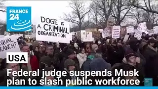 US judge suspends Musk plan to slash US public workforce &bull; FRANCE 24 English