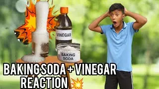 Baking soda+vinegar reaction 💥 || Assamese Experiment video 