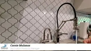Discover the many features of a Brizo Articulating Faucet
