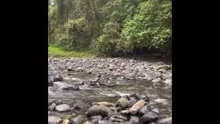 Ladies well, free camping along the Upper Allyn river, 2.5 hrs from central coast NSW 