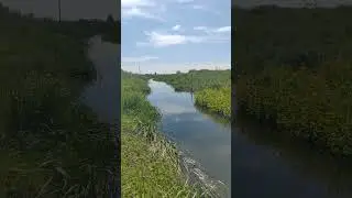 Summer in Belarus 🇲🇬 #summervibes #belarus #road #river #warm