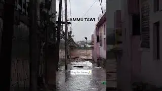🚨 Jammu Floods 2025 | Ground Reality & Latest Updates 🌊 | Jammu Kashmir Flood Situation #jammu #yt