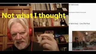 Senior reacts to Wolf Alice 