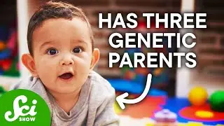 How To Make A Baby With Three Parents