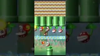 Destroying the hardest level in NSMBW