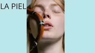20 CURIOSIDADES QUE NO SABIAS DE TU CUERPO HUMANO