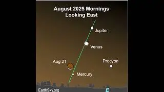 The Moon, Mercury, Venus and Jupiter Before Dawn on August 21