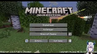 Hardcore Minecraft Chunklock Part 2