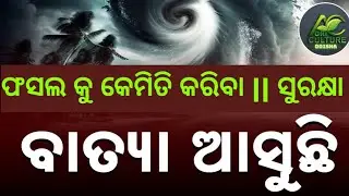 ଫସଲ କୁ କେମିତି କରିବା| ସୁରକ୍ଷା   |  ବାତ୍ୟା ଆସୁଛି   || Cyclone Alert in Odisha | Odisha Weather update.