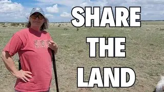 Creating a camping community for nomads on her land in Colorado.