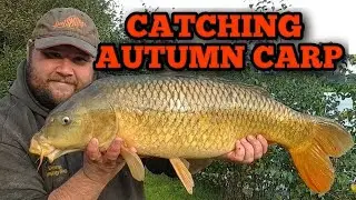 Carp Fishing In Autumn Using Particle