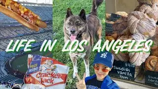 Living in Los Angeles | larchmont newsstand, coffee run, dog walk, dodgers game, brunch, soft serve