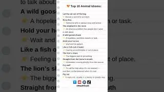 Top 10 animal idioms and phrases |idoms| phrases| idioms and phrases in english #idioms #phrases