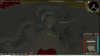 Tears of Guthix Braindead Maximum Points Guide
