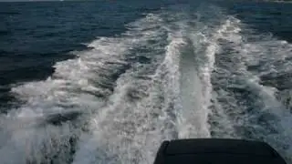 apex rib boat