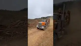Log truck drivers go everywhere to keep the wood moving. #thankatrucker #logtruck #truckdriver #pnw