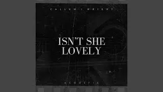 Isn't She Lovely (Acoustic)