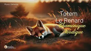 ✨ TOTEM &ndash; The Fox | Nordic Shamanic Relaxation Music ✨