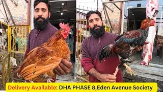 Fresh Mutton Beef and Chicken Shop | Broiler Chicken Price | Desi Chicken Price | Mutton Price