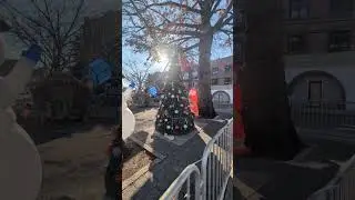 American Triangle's Astounding Christmas Tree in the cold