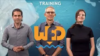 Waste Flow Diagram (WFD): Training Video