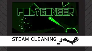Steam Cleaning - Polygoneer