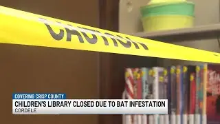 City of Cordele closes library children&rsquo;s area after bat infestation