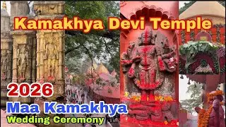 Kamakhya Mandir Darshan 2026 | Kamakhya Temple Guwahati