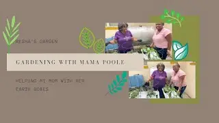 Gardening With Mama Poole| Part 2 | Earth Box Setup | Resha's Garden