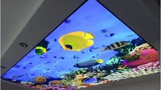 Ceiling stretch PVC with picture print and backlit #Shorts