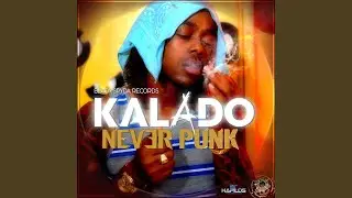 Never Punk (Radio Edit)