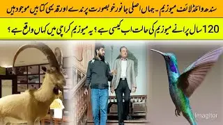 Sindh Wildlife Museum Karachi | Yasir Pakistani