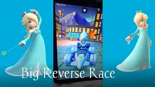 Rosalina (Volendam)'s Item Smuggling #5