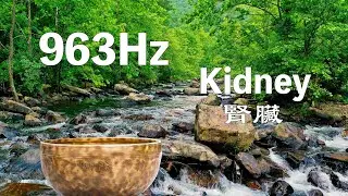 黑畫面 🎶 963Hz & 319.88Hz 腎臟頻率 🌙 西藏頌缽療癒音樂 Tibetan Singing Bowl Healing Music 😴💤  冥想 Meditation 🎶 EP516