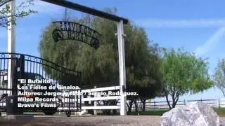 los fieles de sinaloa