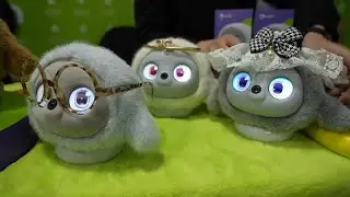Bulletproof cat flaps and doggie entertainment screens: Pet tech on trend at CES 2025