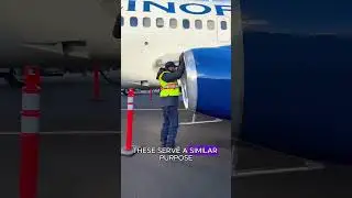 Do you know what the metal plate on the landing gear are for?#airplane #gear #boeing737