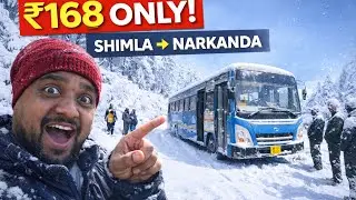 Shimla to Narkanda in just 168/- only