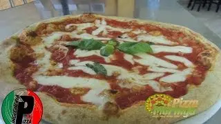 pizza moringa italia