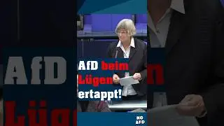 AfD beim L&uuml;gen ertappt