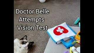 Doctor Belle's patient refuses services