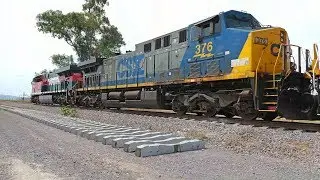 CSX 376 YN2 Scheme!!