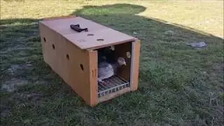 La primera salida para entrenar