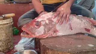Extreme Cutting Styles | Big Snapper Fish Cutting by Expert Fish Cutter